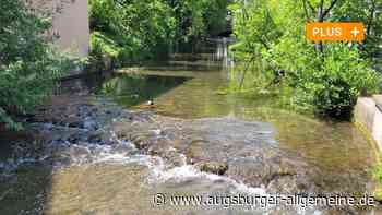 Lärm durch Brückenabriss vertreibt seltene Wasservögel in der Blau