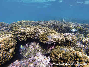 $2 million insurance coverage added for island coral reefs