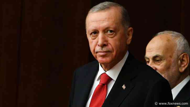 Erdogan appoints former US banking executive to head central bank