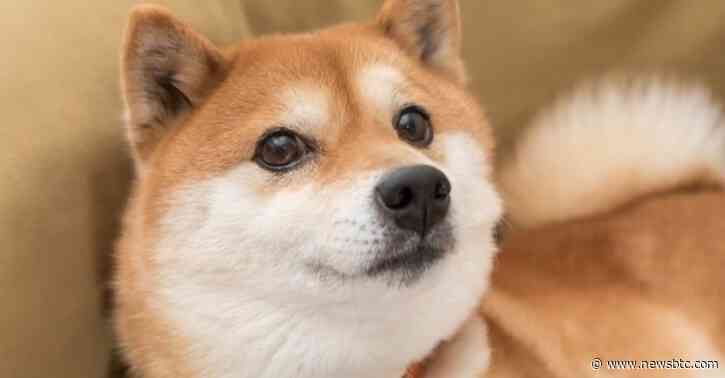 Shiba Inu Traders Anxiously Await Shibarium Launch Date Amidst Uncertainty
