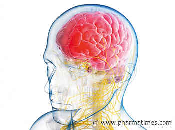 Cardiff University begins study of schizophrenia therapy
