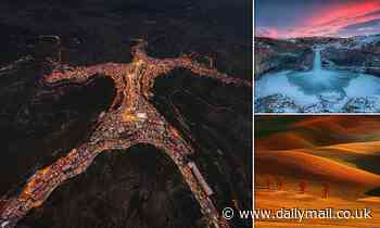 Stunning images from a prestigious colour photo awards - including a shot of a rare black panther