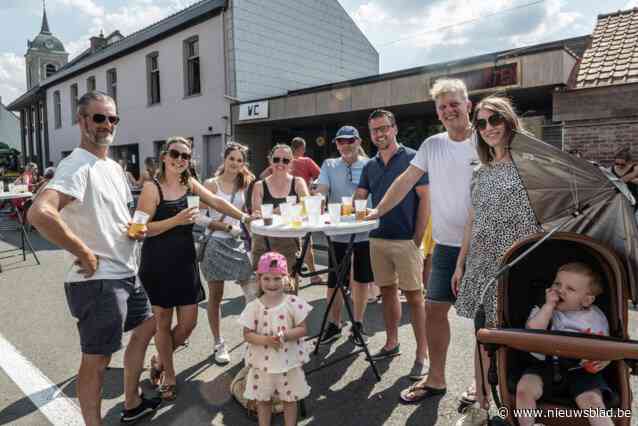 Zonovergoten batjes in centrum Ledegem