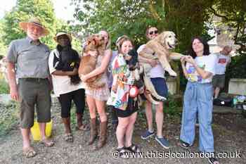 See all the photos from Highgate's 2023 Fair in the Square