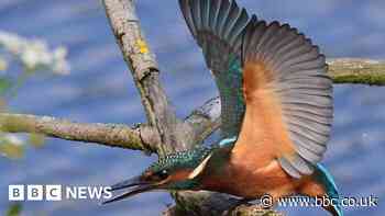 East Yorkshire nature reserve celebrates its 30th anniversary.