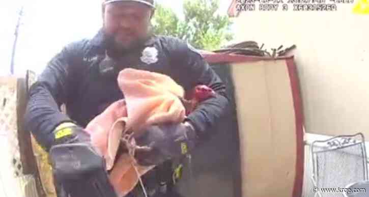 Albuquerque police take down illegal cockfighting operation