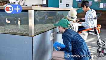 Ostsee Info-Center Eckernförde: Mit Bildern über die Ausstellung sprechen