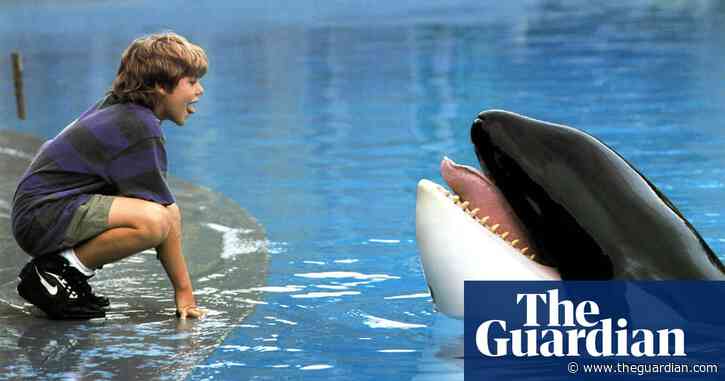‘We used a rocket-launcher for his leap to freedom!’ How we made Free Willy