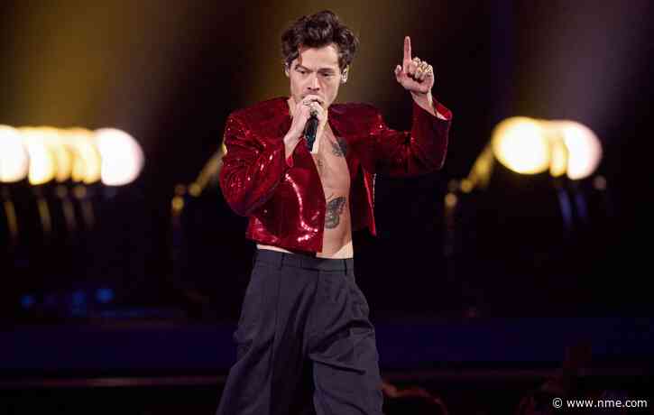 Harry Styles halts Slane Castle gig to help fallen fan