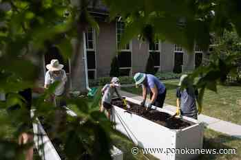 ‘Part of something bigger:’ Kids help at community garden, raise money for food bank