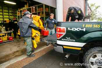 Nearly 350 firefighters from the EU will help battle relentless Canadian wildfires