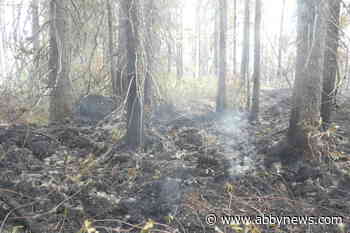 Wildfire roundup: What you need to know about blazes burning across Canada