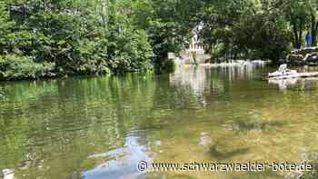 Wasserknappheit im Kreis Calw: Pegelstände sinken, Lage spitzt sich zu