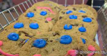 Fundraising record hit for Saskatoon literacy through Tim Hortons Smile Cookie campaign