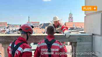 Bienen am Rathaus werden zum Spezialeinsatz für Höhenretter
