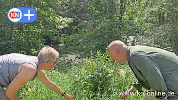 45 Jahre Stiftung Naturschutz in Molfsee