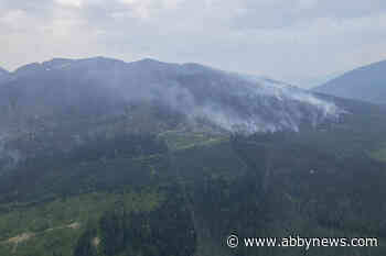 Soards Creek Wildfire continues to burn north of Revelstoke, no size change over weekend