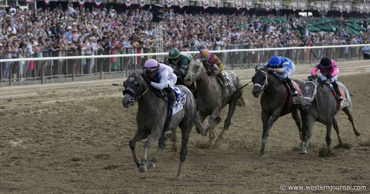 2nd Horse Dies at Belmont Park on Weekend of Triple Crown Finale