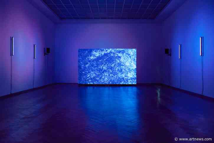 P. Staff’s Kunsthalle Basel Show May Burn Images into Your Retina