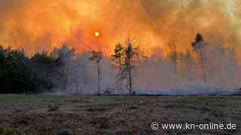 Waldbrände bei Hagenow und Lübtheen auf insgesamt rund 100 Hektar