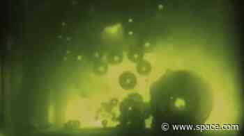 Space food: Why Mars astronauts won't have to hold the fries (video)