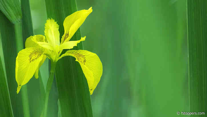 How to Take Great Landscape Photos in Harsh Light