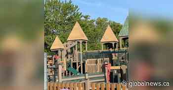 Inclusive Riverview, N.B. playground vandalized with swastikas