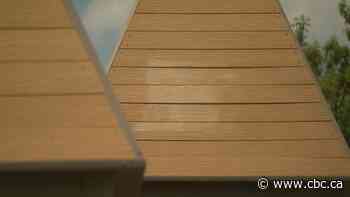 Swastikas sprayed across N.B. park named for teen who inspired global kindness campaign