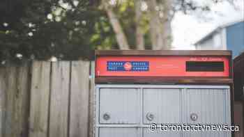 Toronto councillor seeks bylaw restricting anti-abortion imagery