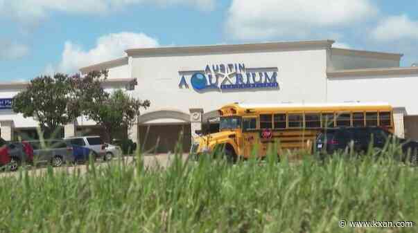 Animal Commission will continue to discuss Austin Aquarium rules following lemur attack