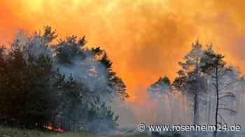 Dorf wegen großen Waldbrands im Südwesten von MV evakuiert