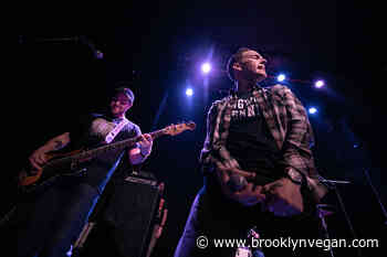 The Movielife announce 'Forty Hour Train Back to Penn' shows with Piebald & Macseal