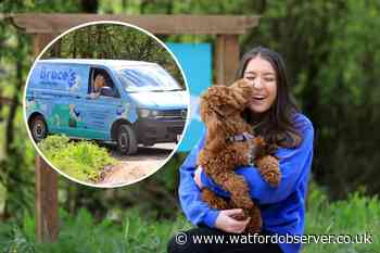 Radlett five acre 'doggy day care' Bruce's opening in August