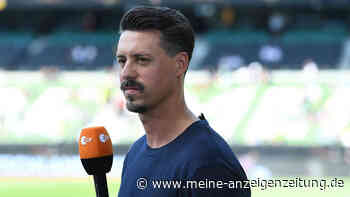 „Klingt brutal nach Aufstieg und Bierkönig“: Sandro Wagner angeschlagen am ZDF-Mikro