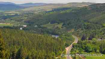 Glacial pace on A9 road dualling might be deliberate, engineers suggest. subscription
