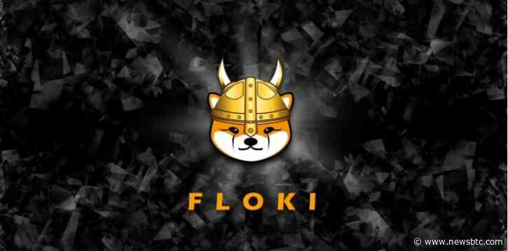 FLOKI Recovers From A Bad Fall, Climbs Back Up To The Green Zone