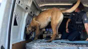 Tabakspürhund Athos findet 100.000 Schmuggelzigaretten