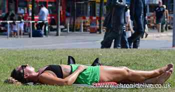 Expert explains your rights when working in hot weather and what your employer should do