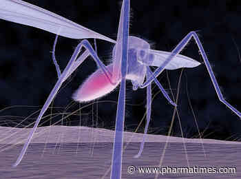 Valneva reveals chikungunya vaccine data