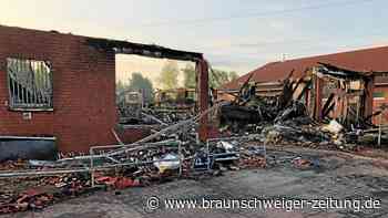 Polizei: Feuer-Spürhund soll Aldi-Brand auf die Spur kommen