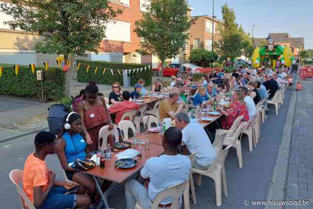 Bewoners rond Chrysantenlaan genieten van eerste straatfeest