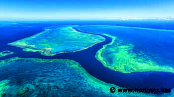 Globale Kampagne: Mit diesen Forderungen will Patagonia die Weltmeere schützen