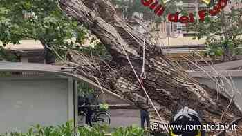 Maltempo a Roma: allagamenti e raffiche di vento. Tromba marina a Ostia