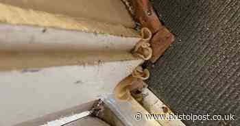 'This house has ruined my life' Mum-of-three's 'nightmare' as energy bill soars to £5,000 a year