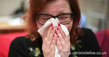 Experts reveal one food that will improve your hay fever symptoms when pollen count is high