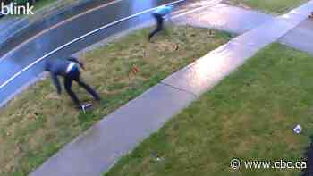Security camera captures Pride flags being torn down from Norwich home