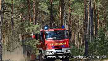 Waldbrand an bayerisch-thüringischer Grenze
