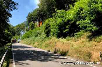 POL-PDPS: Waldbrand zwischen Pirmasens und Rodalben