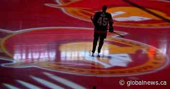 Andlauer group buys Ottawa Senators for close to $1 billion: reports