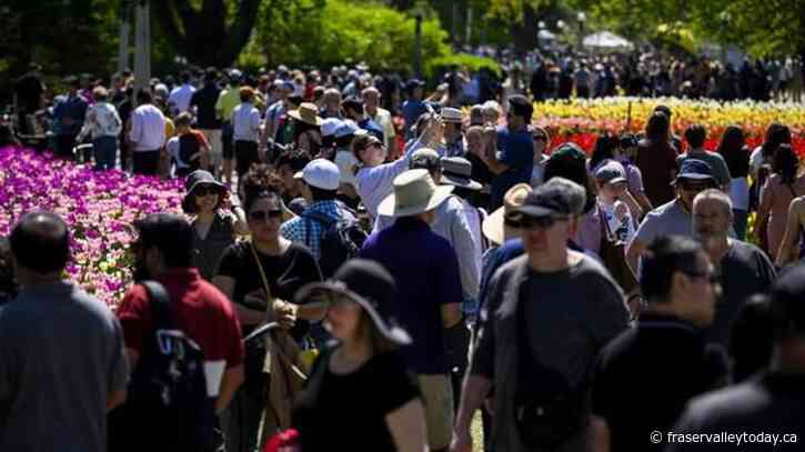 How population growth is affecting everything from jobs to housing in the economy